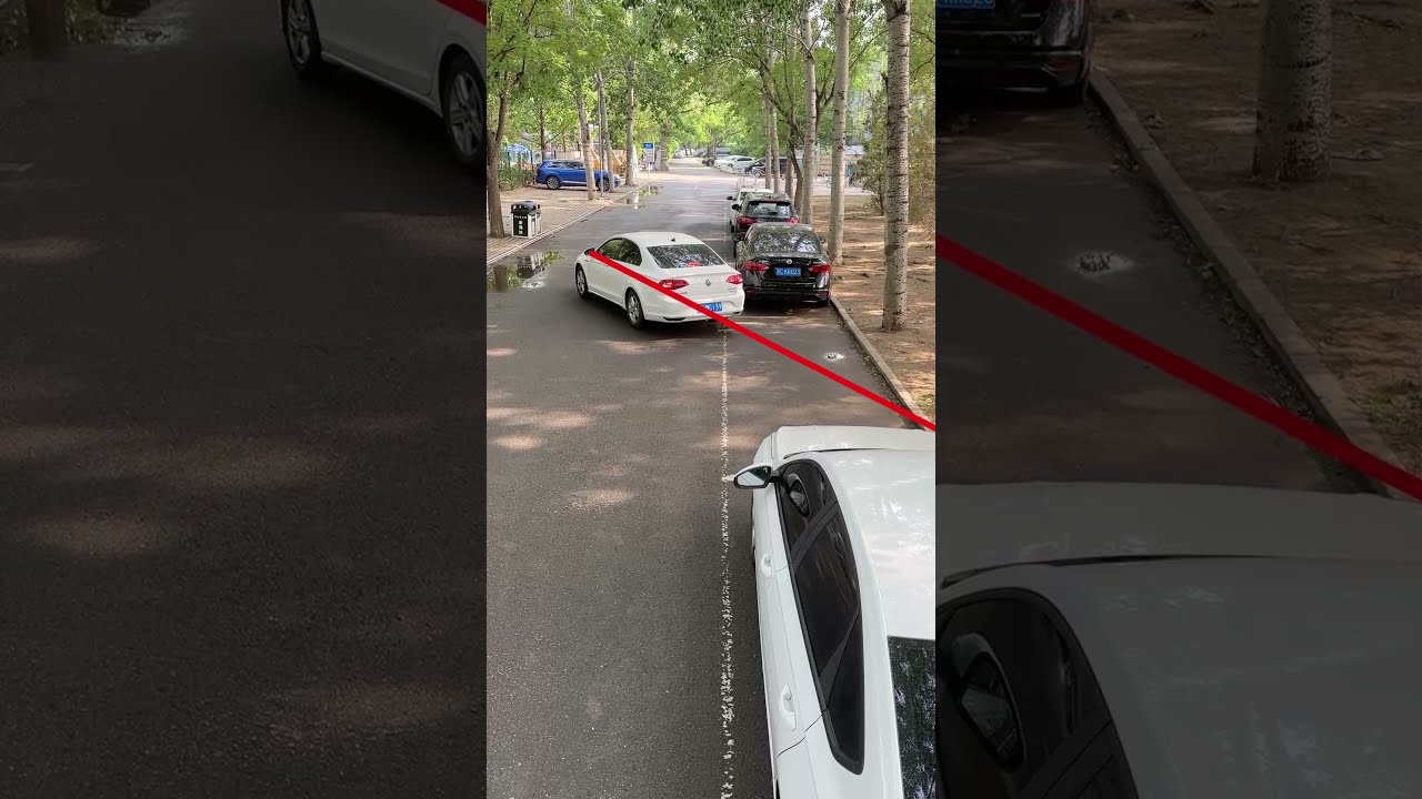 A Camera Spot Teaches You How To Park Properly Car Driving