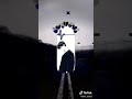 مهراجان اندال حالات واتس