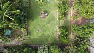 Full Tour of my 5 Year Old Edible Garden with a Mix of Temperate, Sub-Tropical and Tropical Fruit
