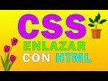 ✅💻Cómo ENLAZAR CSS con HTML