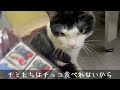 今年もアレを用意しました！