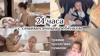 24 ЧАСА С СЕМИМЕСЯЧНЫМ РЕБЁНКОМ :) Режим. Рост/вес. Умелки.