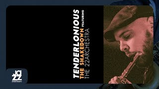 Tenderlonious - The Shakedown (Full Album)