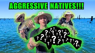 Fishing for AGGRESSIVE AUSTRALIAN NATIVES (Unexpected Catch)