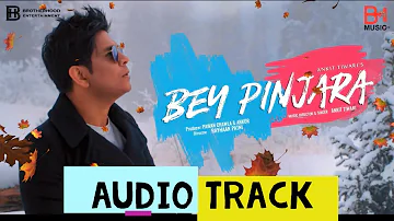 BEY PINJARA - (Official Audio Track) | Ankit Tiwari