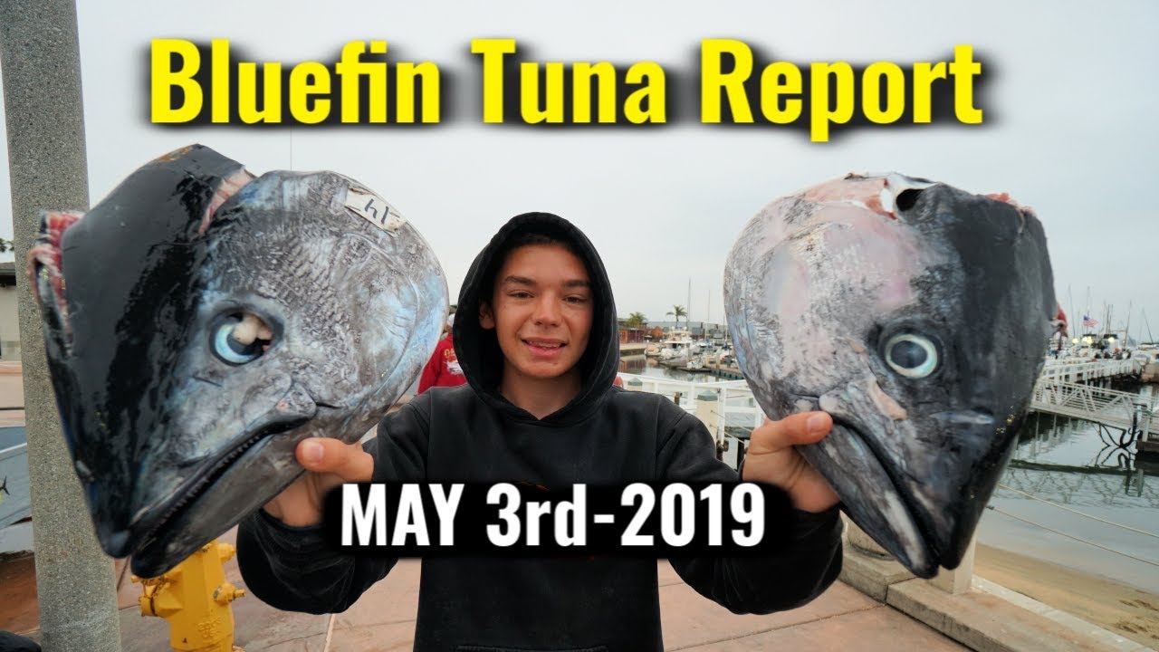 Bluefin TUNA Catch REPORT - Fisherman's Landing 5/3/2019