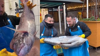 Fish cutting skills | yellow fin tuna | pink snapper