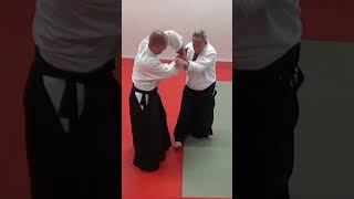 Aikido in slow motion: YONKYO against strikes and grabs, by Stefan Stenudd