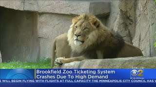 Brookfield Zoo Ticketing System Crashes Due To High Demand
