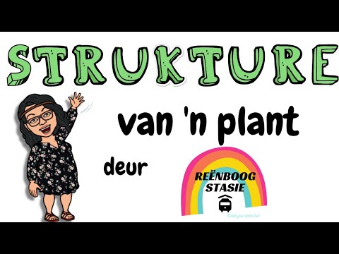 Dele/ Strukture van &rsquo;n plant| Leer meer oor die verskillende dele van &rsquo;n plant en hul funksies.