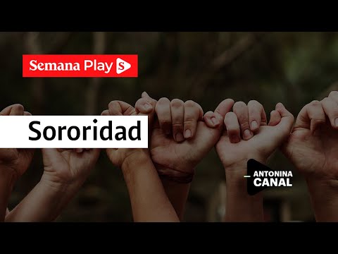 Sororidad: ¿cómo fortalecer la empatía? | Antonina Canal