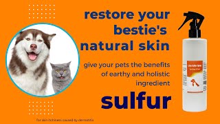Lime Sulfur Spray by Healthy Paw Life