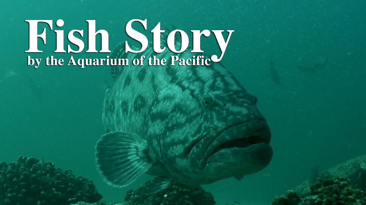 Fish Story by Aquarium of the Pacific