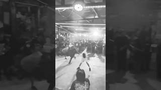 VILTRUM #hardcoreworldwide #reels #moshpit #southeastasia #philippines #hardcore #punk #shorts #hxc