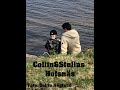 Collins&amp;Stellas Hofsnäs