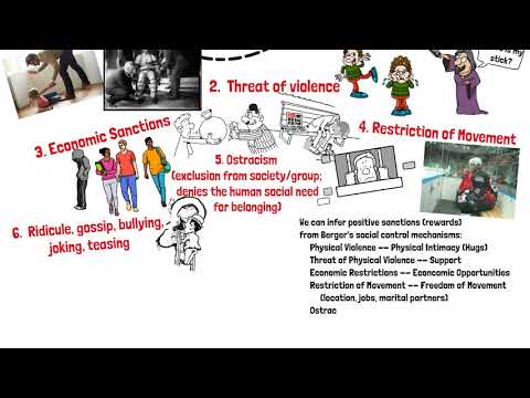 Understanding Culture: Components of the Non-Material Culture