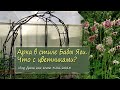 Оформление старой арки, фонарики. Сад постепенно преображается / vlog Дача как есть 3.06.2025