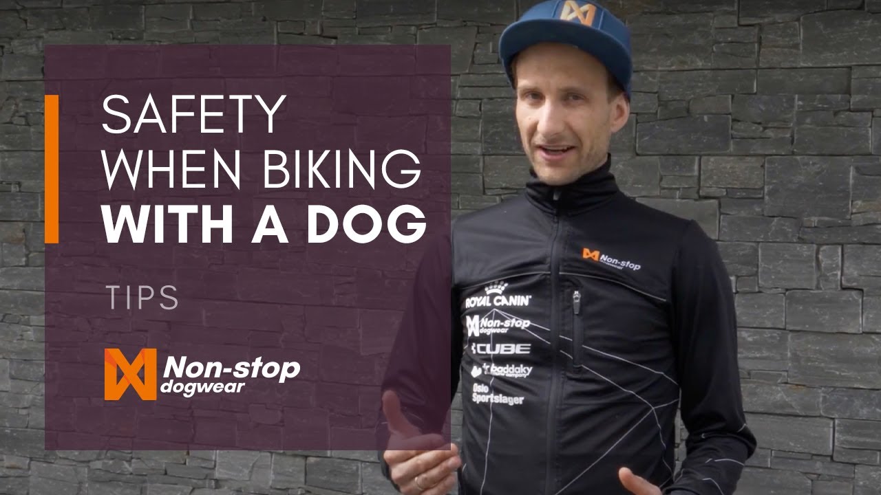 Safety tips when bikejoring YouTube