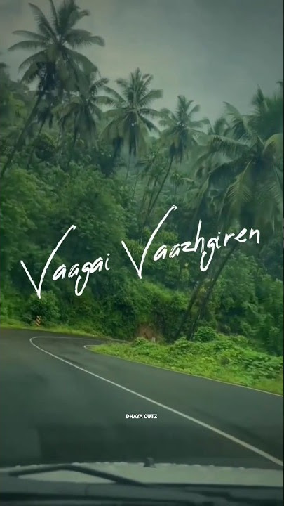 Vaagai vaagai vaazhgiren / 96 / The life of Ram/ Travel songs WhatsApp status #96 #pradeepkumar