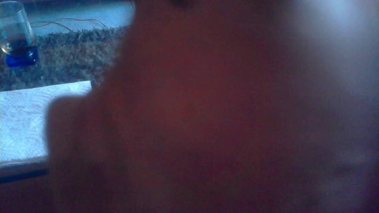 O MEU CÃO DESCONFIADO COM O PORCO video editing software free
