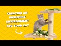 Creating An Enriching Environment For Your Cat Cat Cats Catlover Tips Creating An Enriching Environment For Your Cat Cat Cats Catlover Tips
