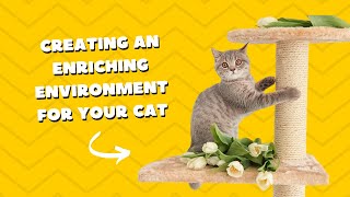 Creating an Enriching Environment for Your Cat #cat #cats #catlover #tips