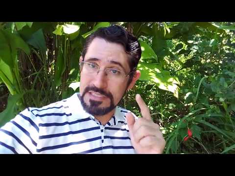 Transmissão ao vivo!! 20:30h Como tratar ácido úrico de forma natural!! - Transmissão ao vivo!! 20:30h Como tratar ácido úrico de forma natural!!