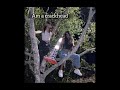 Me gustas tu besties edit 💌...best duo aesthetics #@kpoppies #besties #megustastu