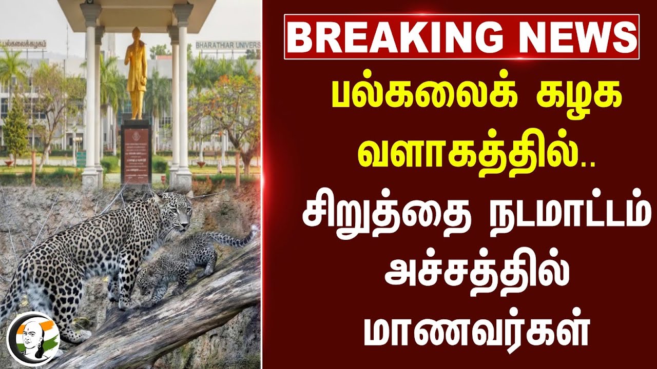 #breakingnews : University வளாகத்தில் சிறுத்தை நடமாட்டம்.. அச்சத்தில் Students | Kovai