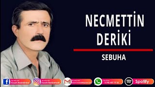 Necmetti̇n Deri̇ki̇ - Sebuha