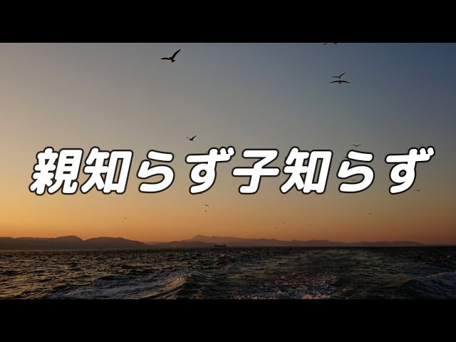 親知らず子知らずNEW!作詞：山本和夫／作曲：岩河三郎
