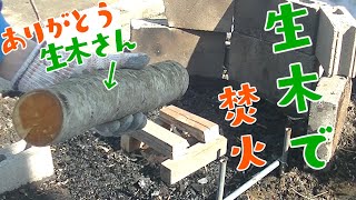 水分を含んだ生木の燃やし方【濡れた薪での焚火】