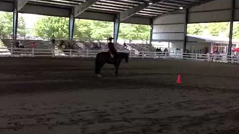 JDG Only Imagine - Horsemanship