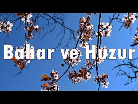 Bahar ve Huzur | Şiir