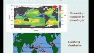 Malcolm McCulloch - Acid trip to Australia’s future: Ocean acidification and coral reefs
