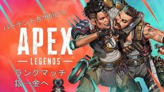 【銀→金】APEX LEGENDS  【参加歓迎】
