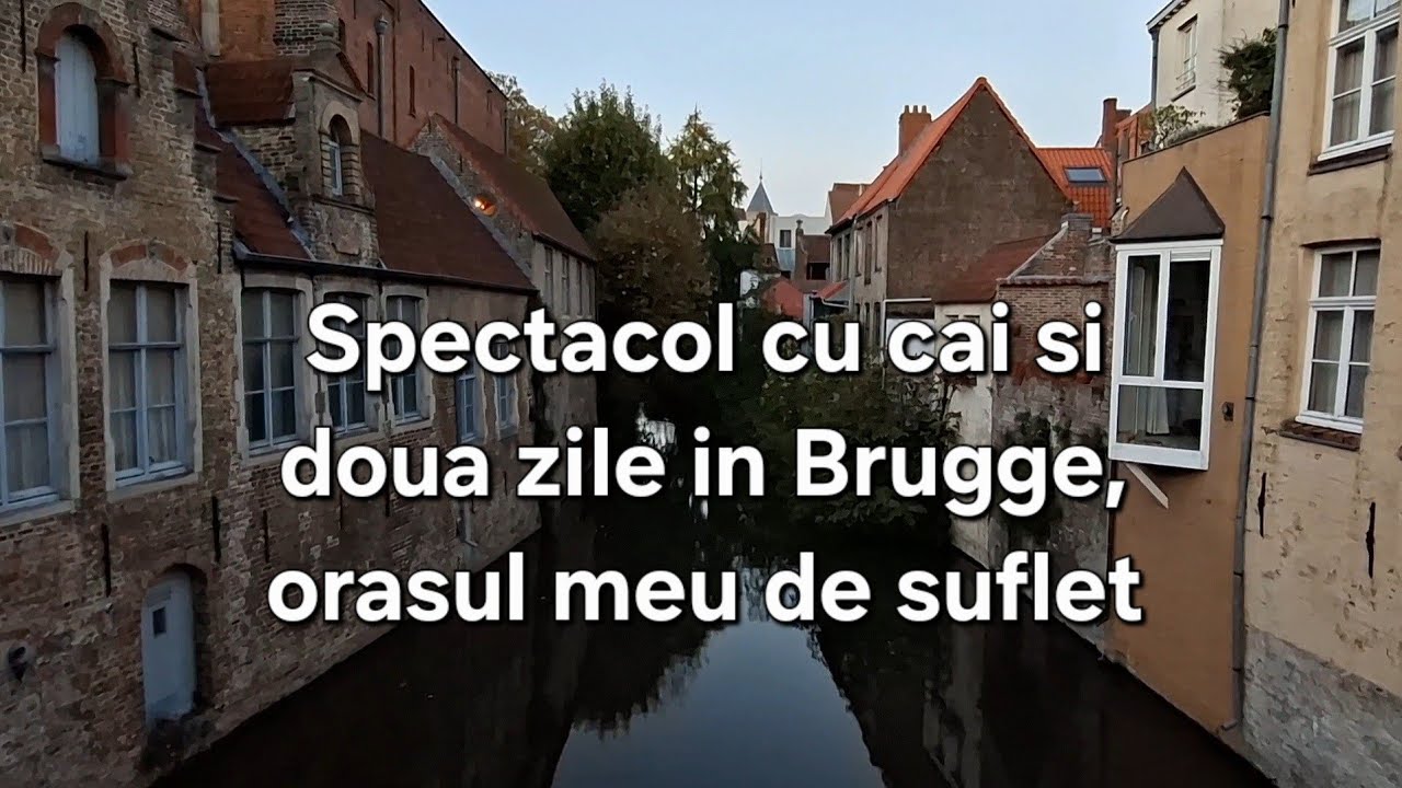 Vlog de călătorie: spectacol cu cai și 2 zile in Brugge #dailyvlog