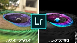 How to Edit Peacock Feather-lightroom || Professional Edit || BE PhotoMaker screenshot 5