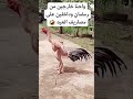 الجو مولع نار شيل ايدك من عليا