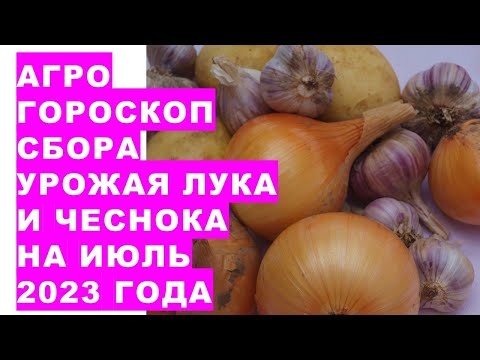 Видео: Кога да берем реколтата от таитянски лайм?