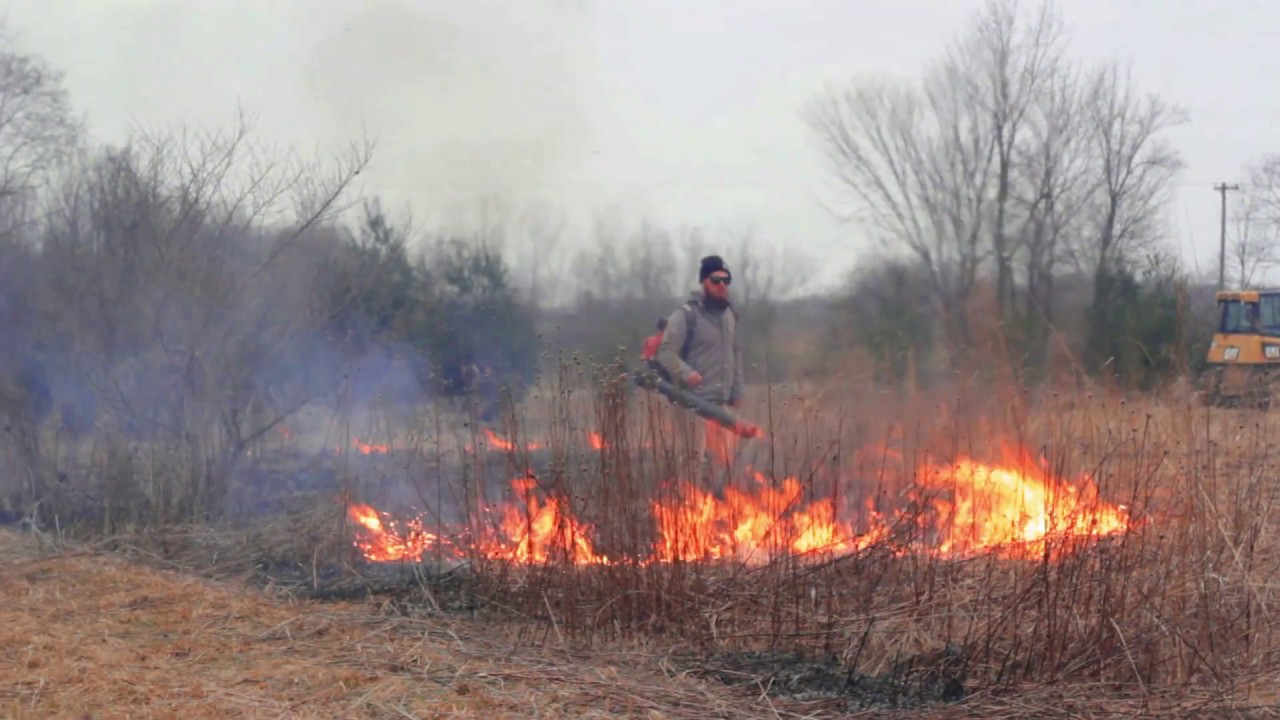 Rebel Farms - RX Burn