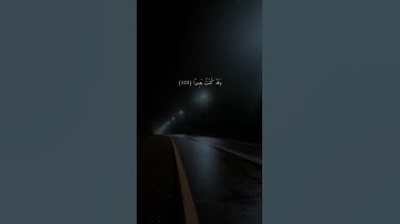 قران بصوت القارئ عمار الشلاحي ستوري قران كريم