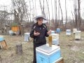Весенняя профилактика болезней пчел часть 2 Март 2016г.