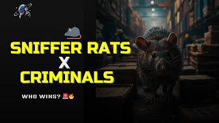 GIANT RATS vs WILDLIFE CRIME: The Unlikely Heroes Saving Our Planet! 🐀🌍