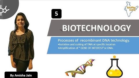 BIOTECHNOLOGY | Processes of  recombinant DNA technology | Class 12 - Part 3 | By Amisha Jain