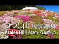 つつじ山 熱海瑞雲郷　Azalea Hill | Atami Zuiunkyo