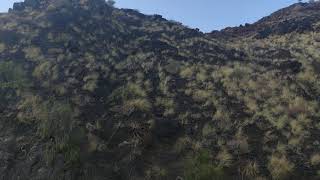 Dedo De Dios, Gran Canaria