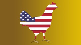 The Chickenization of America - TikTok Drama, Neuralink's Pig Trepanation screenshot 5