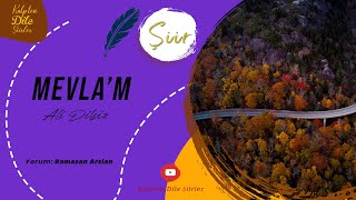 Ali Dilsiz | Mevlâ'm - Ramazan Arslan Yorumuyla #şiir Resimi