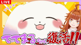 【めでたい】ててまるちゃぁん！！ついに復活ですよお～【雑談】